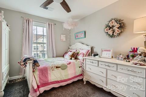 16713 Setter Point Ln, Davidson, NC 28036 photo 42