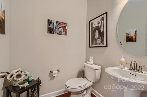 16713 Setter Point Ln, Davidson, NC 28036 photo 26