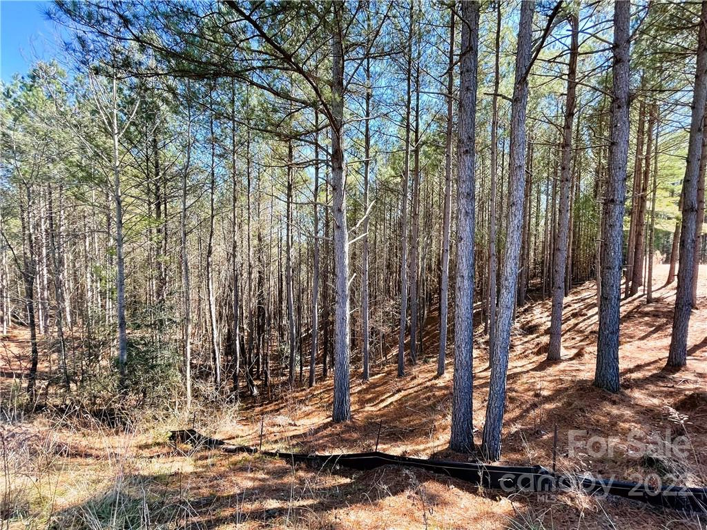 101 Table Rock Nw 115 Trce NW Unit 115  