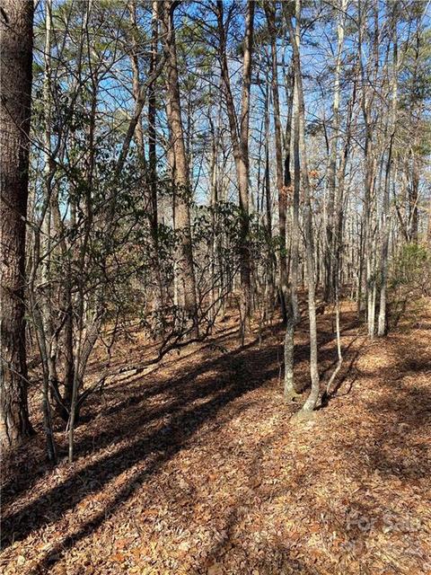 91 Conner Dr, Marion, NC 28752 photo 6