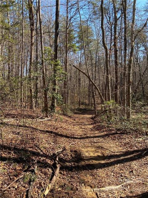 91 Conner Dr, Marion, NC 28752 photo 9