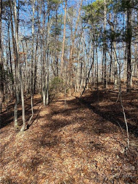 91 Conner Dr, Marion, NC 28752 photo 7