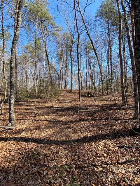 91 Conner Dr, Marion, NC 28752 photo 5