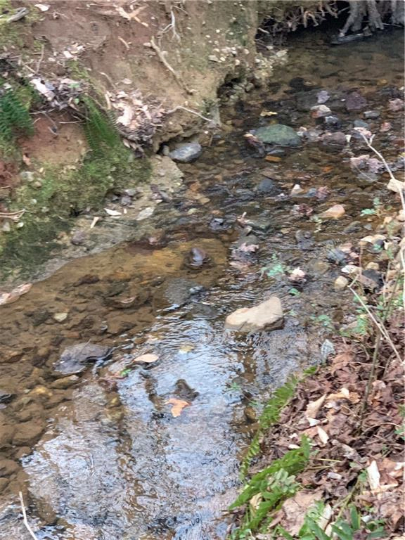 0 Winterhaven 2 Rd Unit 2