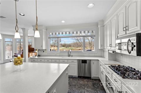 19327 River Falls Dr, Davidson, NC 28036 photo 11
