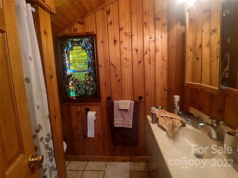 180 Claude Cook Rd, Sylva, NC 28779 photo 10