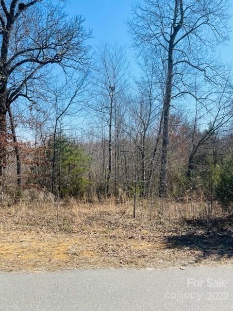 2906 Drummond St, Connelly Springs, NC 28612