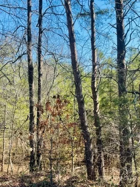 0 Ridge Dr, Connelly Springs, NC 28612