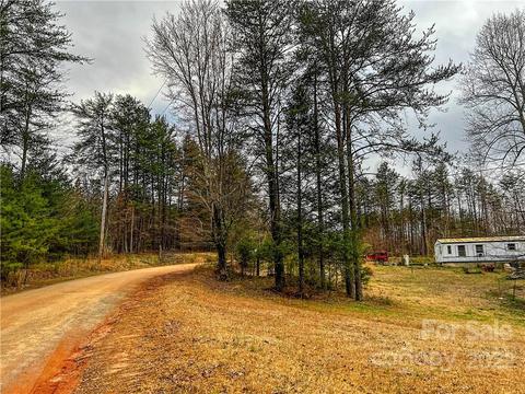 59 Cold Springs Dr, Mill Spring, NC 28756 photo 4