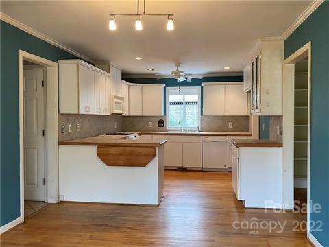 887 Concord Rd, Davidson, NC 28036 photo 5