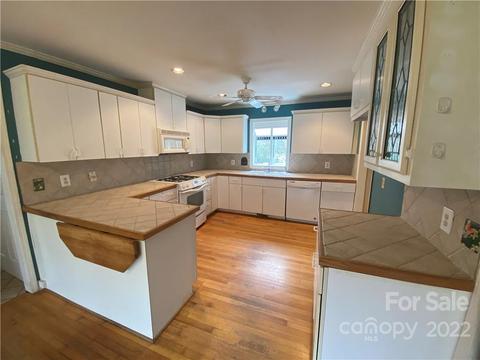 887 Concord Rd, Davidson, NC 28036 photo 6
