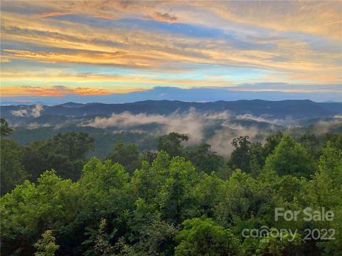 1505 Rixhaven Dr, Saluda, NC 28773 photo 3
