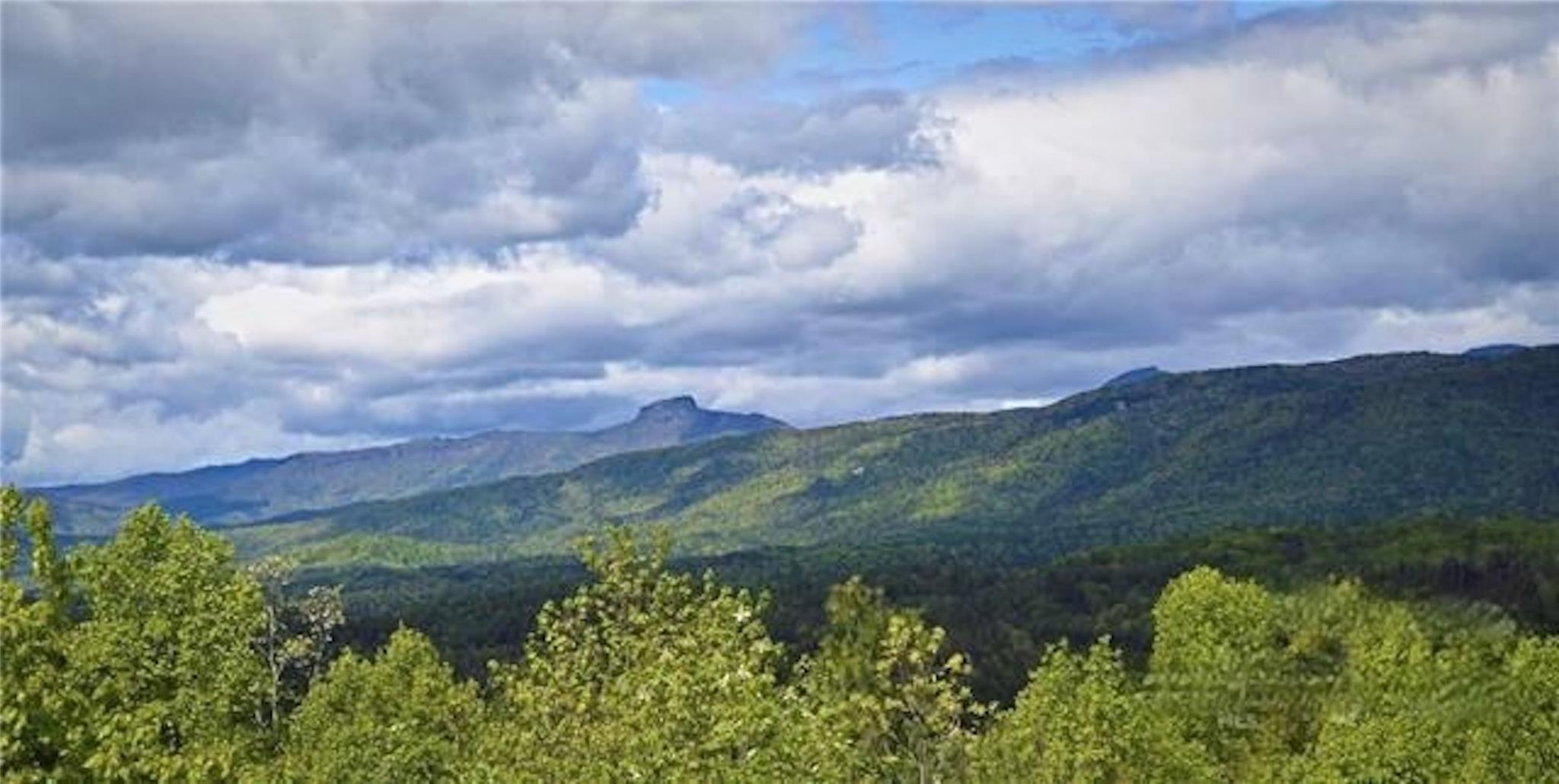 Johns Ridge Lot 161 Pkwy Lot 161