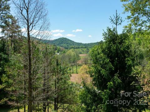 3924 Beech Glen Rd, Mars Hill, NC 28754 photo 31