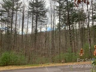 Huckleberry Ridge 119 Ln Unit 119