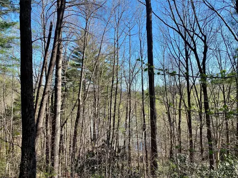 96 Winghaven 42 Dr #42, Nebo, NC 28761