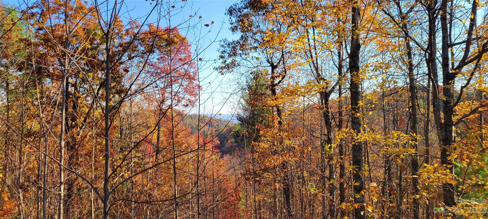 0 Timberline 591 Dr Unit 591