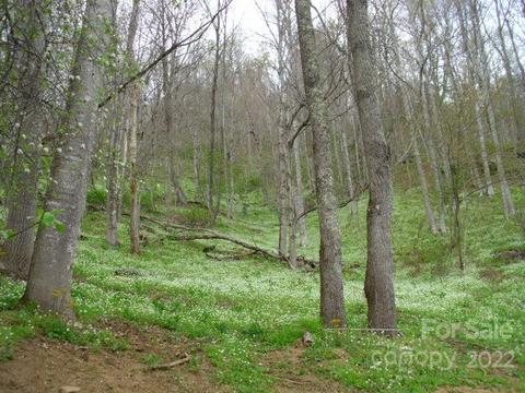 0 Lakewood A B C D Dr #A, B, C, D, Bakersville, NC 28705