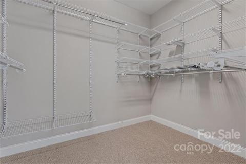 11609 Mount Argus Dr, Cornelius, NC 28031 photo 27