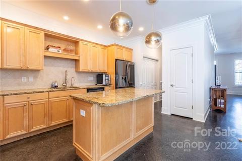 453 Ohenry Ave, Davidson, NC 28036 photo 11