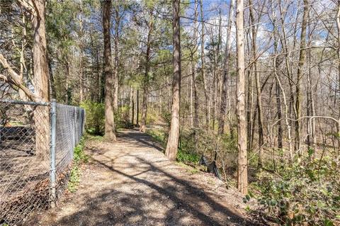 453 Ohenry Ave, Davidson, NC 28036 photo 28
