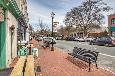 333 Spring St, Davidson, NC 28036 photo 43