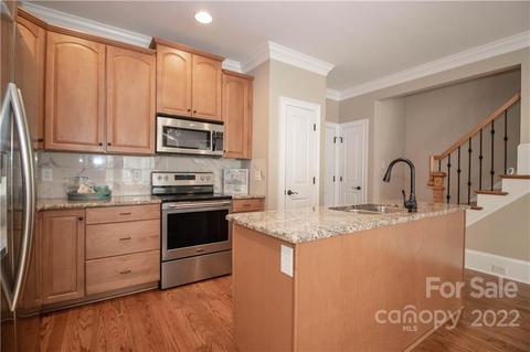 333 Spring St, Davidson, NC 28036 photo 15