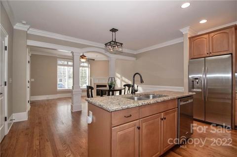 333 Spring St, Davidson, NC 28036 photo 17