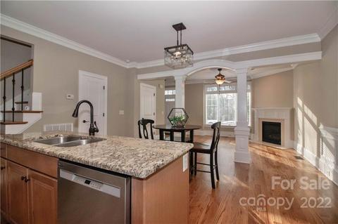 333 Spring St, Davidson, NC 28036 photo 18