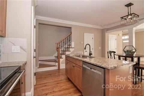 333 Spring St, Davidson, NC 28036 photo 16
