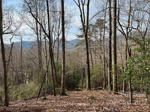 999 Sleepy Gap 6 Rd #6, Arden, NC 28704