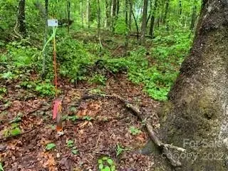 162 Hayes Per Survey Dr #PER SURVEY, Saluda, NC 28773