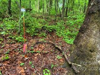 162 Hayes Per Survey Dr Unit PER SURVEY  