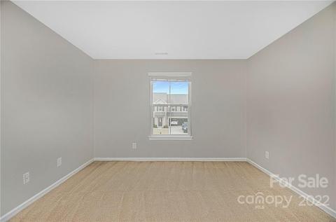 10930 Tailwater St, Davidson, NC 28036 photo 13