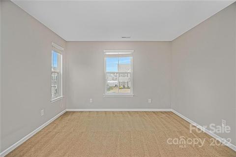 10930 Tailwater St, Davidson, NC 28036 photo 15