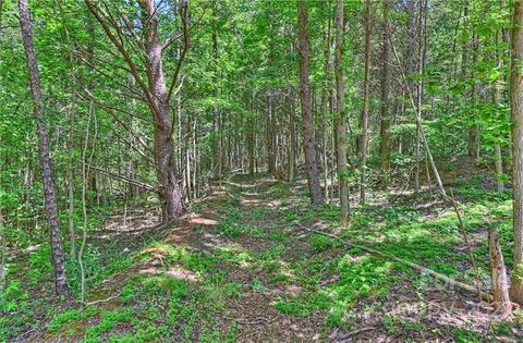 20528 Avoca Ln, Davidson, NC 28036 photo 4