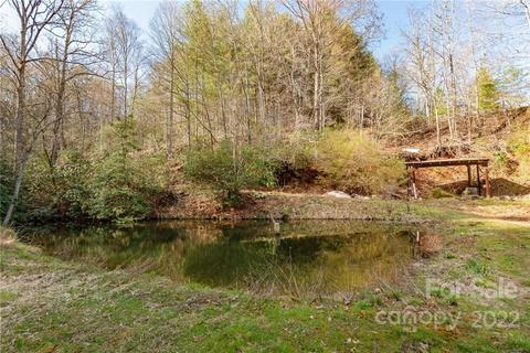 431 Bryson Rd, Brevard, NC 28712 photo 22
