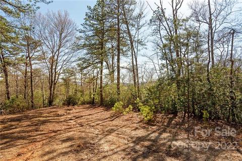 431 Bryson Rd, Brevard, NC 28712 photo 25