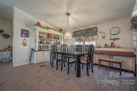 784 Harmony Ln, Mill Spring, NC 28756 photo 12