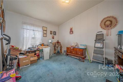784 Harmony Ln, Mill Spring, NC 28756 photo 32