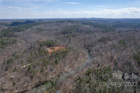 784 Harmony Ln, Mill Spring, NC 28756 photo 19