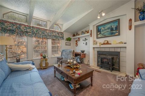 784 Harmony Ln, Mill Spring, NC 28756 photo 14