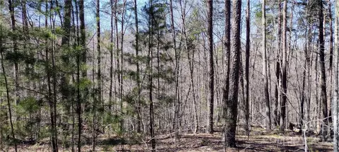 Grindstone Drive, Nebo, NC 28761