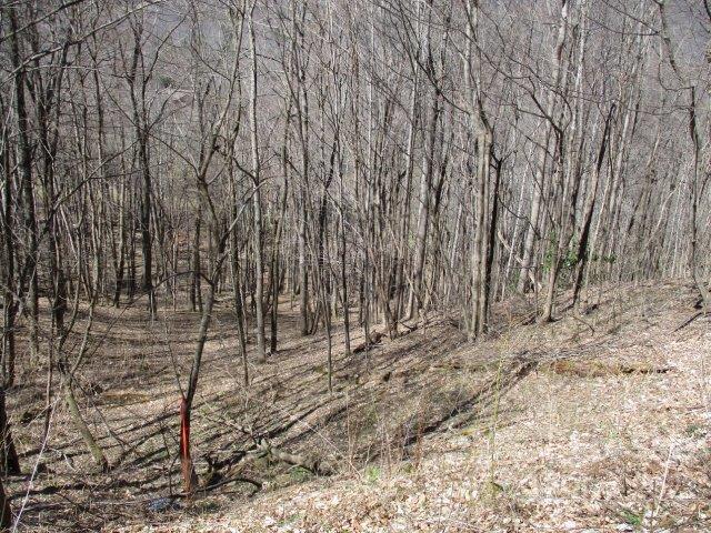 12 Bow And Arrow Cv Unit 12  