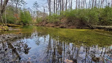 Lakewood 61 Drive #61, Lake Lure, NC 28746