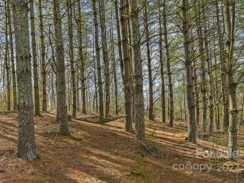 469 Coates Rd, Marshall, NC 28753 photo 38