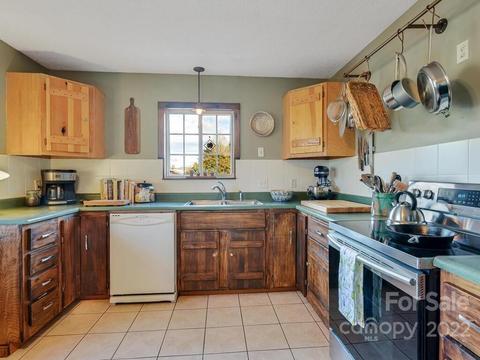 469 Coates Rd, Marshall, NC 28753 photo 6