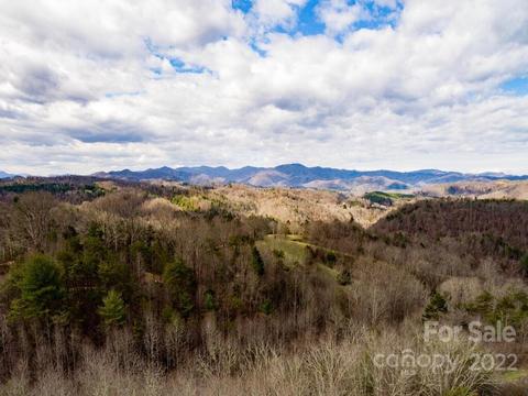 469 Coates Rd, Marshall, NC 28753 photo 4