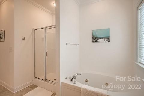 19046 Celestine Ln, Cornelius, NC 28031 photo 16