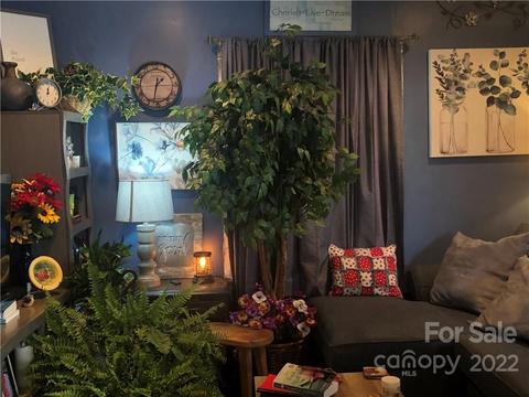 207 Mock Rd, Davidson, NC 28036 photo 3